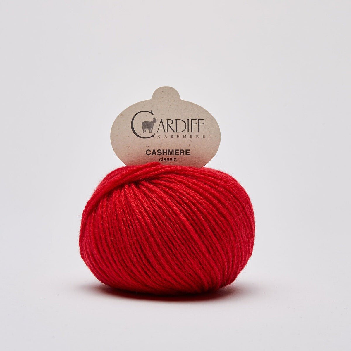 CASHMERE CLASSIC 564 - Gerbera - Cardiff Cashmere